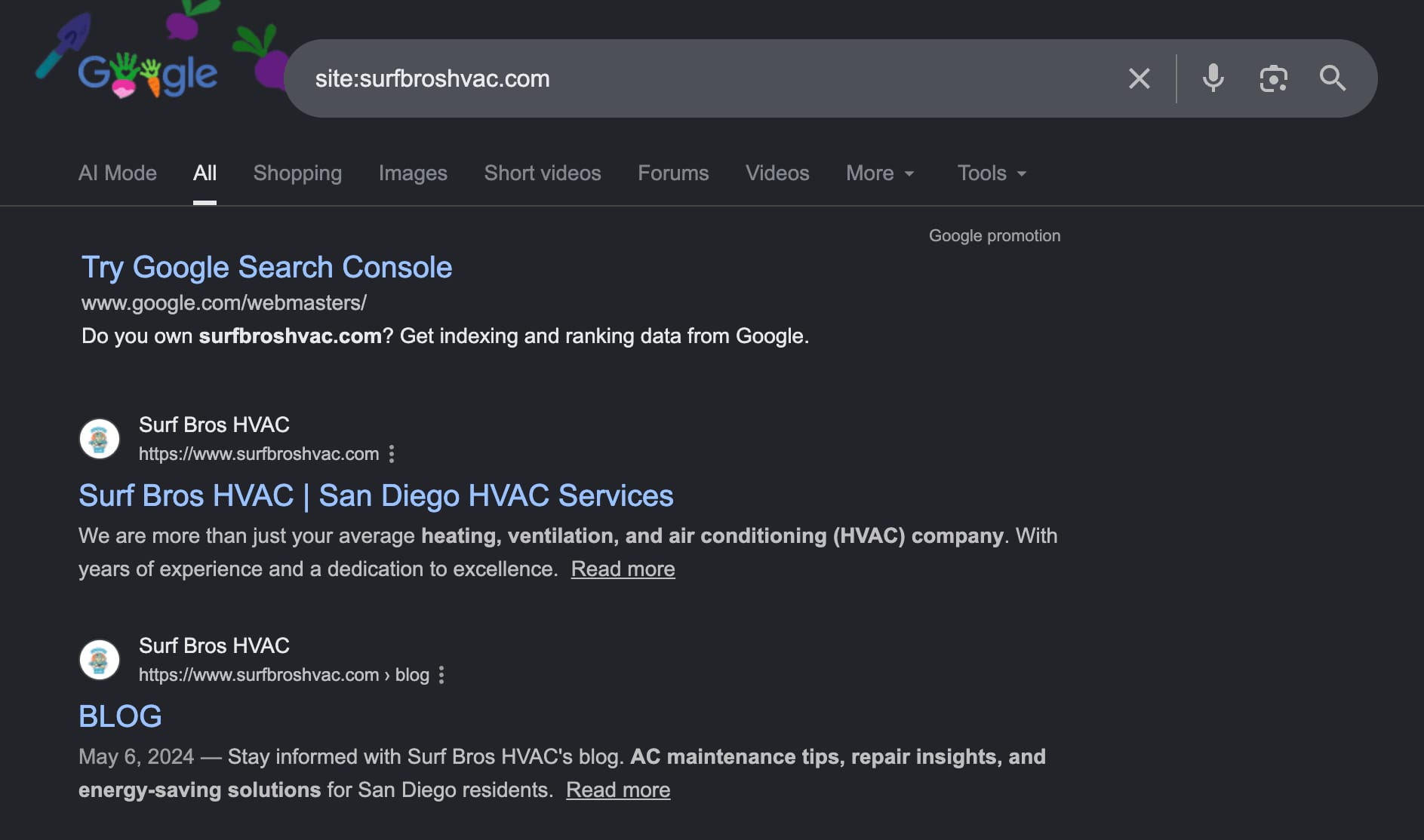 Manual Google site search using the site: operator for surfbroshvac.com